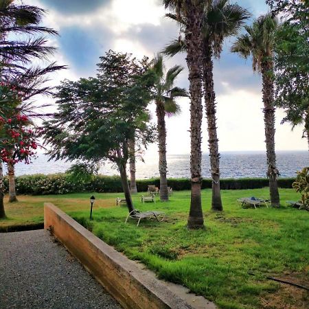 King Alexander Villa 22 Paphos Eksteriør billede
